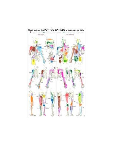 Puntos Gatillo - Lámina Anatomía