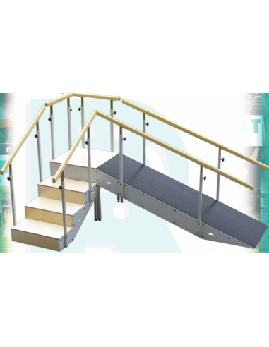 Escalera 4 escalones Con Rampa Y Pasamanos Regulable En Altura